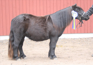 fairon 2.JPG