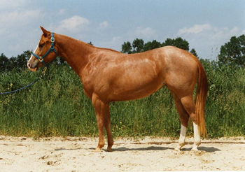 quarter02.jpg