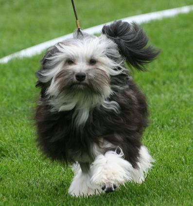 Mikka.jpg