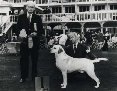 shamrock_acres_light_brigade1973.jpg