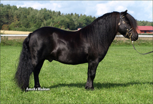 09gmkop_steneborgs_eros.jpg