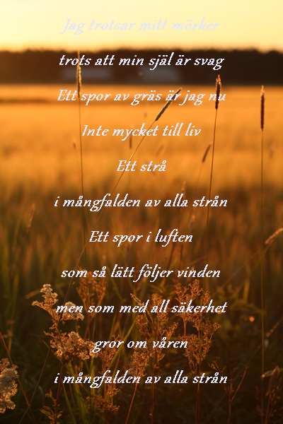 solnedgang_aaker.jpg