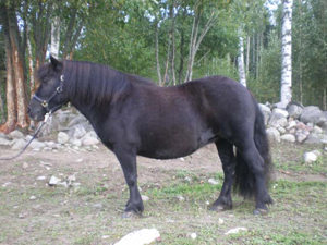 Delilha Karlstad09.jpg