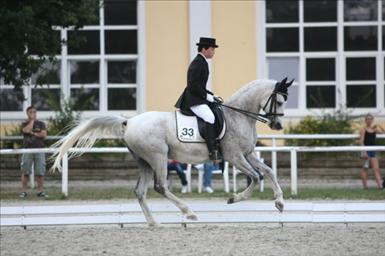 galopp
