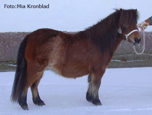 kronblads_lafayette_norrkoping09.jpg