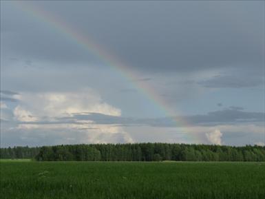 Regnbåge.jpg