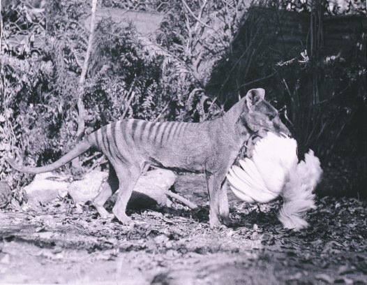 AA115951_big.jpg