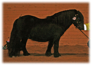 junibackens_rembrandt_frillesas09.jpg