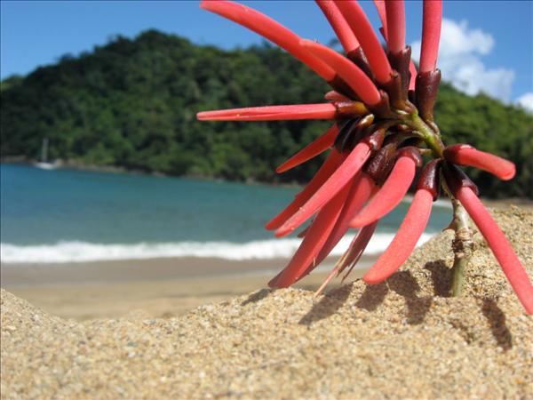 Foto: <a href=