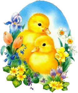 Image16ytutyutu.gif