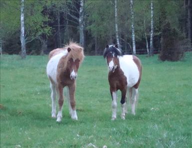 20359482.jpg
