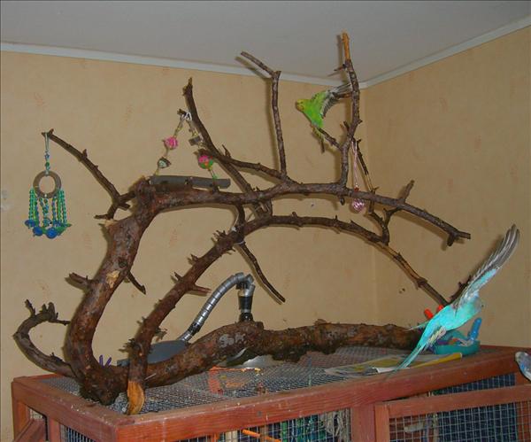 20090317 004.jpg