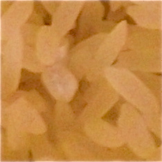 DSCF2079.JPG