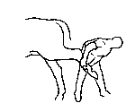 14.gif