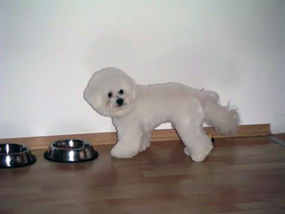 Bild 6