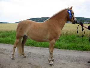 bild2.jpg