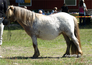 lundstorps_blond_malmk09.jpg