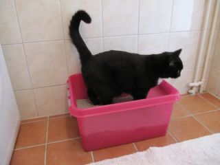 Kattl%e5da%20008_JPG-for-web-normal.jpg