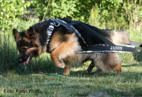jazon-tavling.jpg