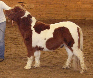 kapplinge_victory_koping09.jpg