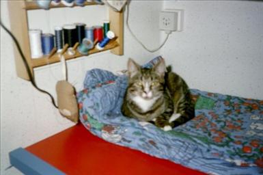 image005.jpg