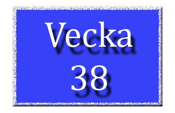 Vecka 38