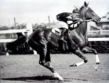 Phar_Lap.jpg
