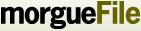 logo.JPG