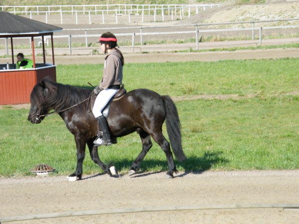DSCF1677.jpg