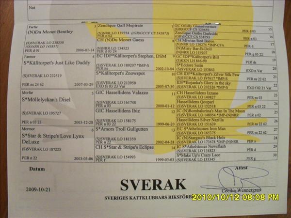 SDC14647.JPG