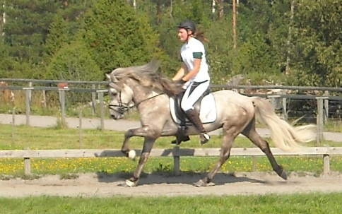 Galopp.jpg
