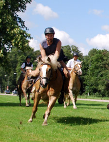 bild1.jpg