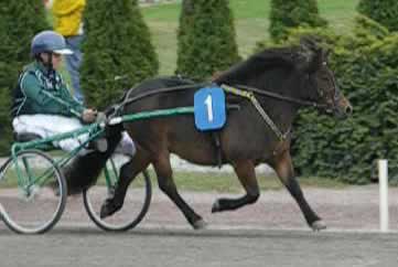 Till Salu - Hippotekets Esska