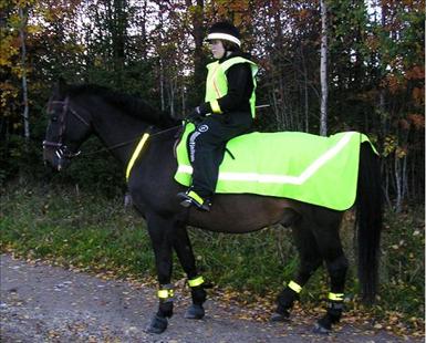 nicke1.jpg