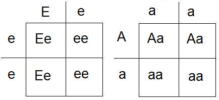 Korsningsschema E A.jpg