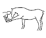 5.gif