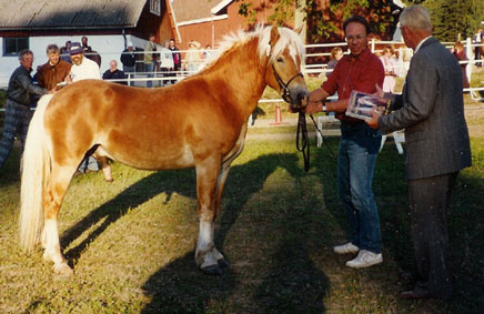 bild2.jpg