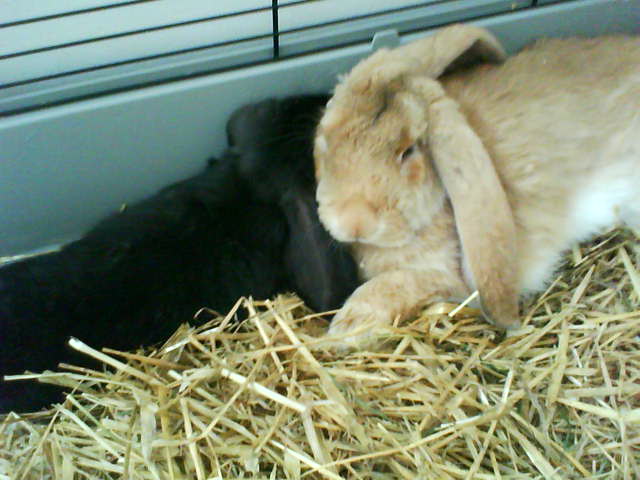 Fotoutmaning 1