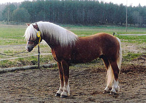 bild4.jpg