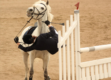 Foto: Tove Fant