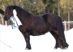 jr_velvet_revolver_nordmaling09.jpg