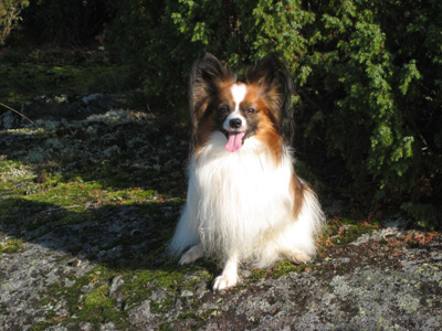 Bild 3