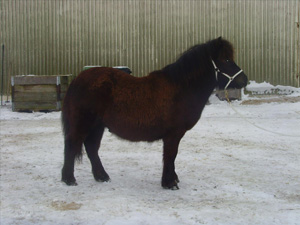 kasebackens_keso_norraasum09.JPG