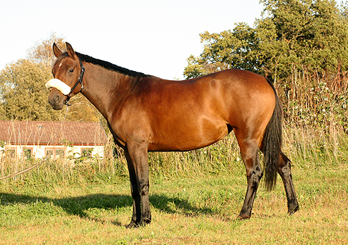 j-parnebohöst09.jpg