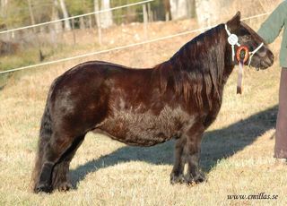 emmeros dianah-1.jpg