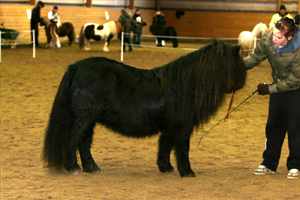 ivette_v_st_dijkzicht_ops_vreta09.JPG