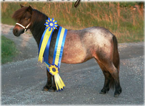 Proud Design Riks 09.jpg