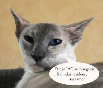 smilla3 kopiera.jpg
