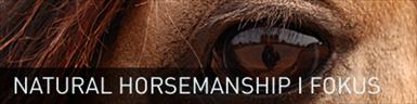 naturalhorsemanship.jpg