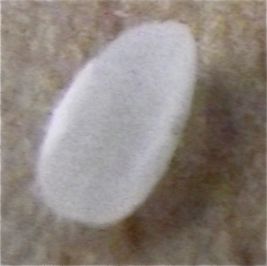DSCF2083.JPG